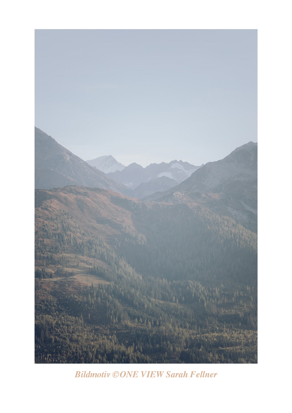 autumnal view II Photo Printed T-Shirt