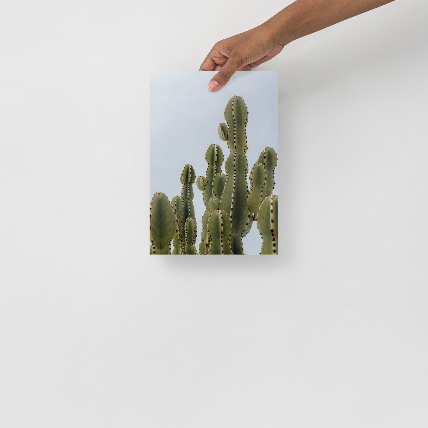 Kakteen Sommer Brise Wandbild III