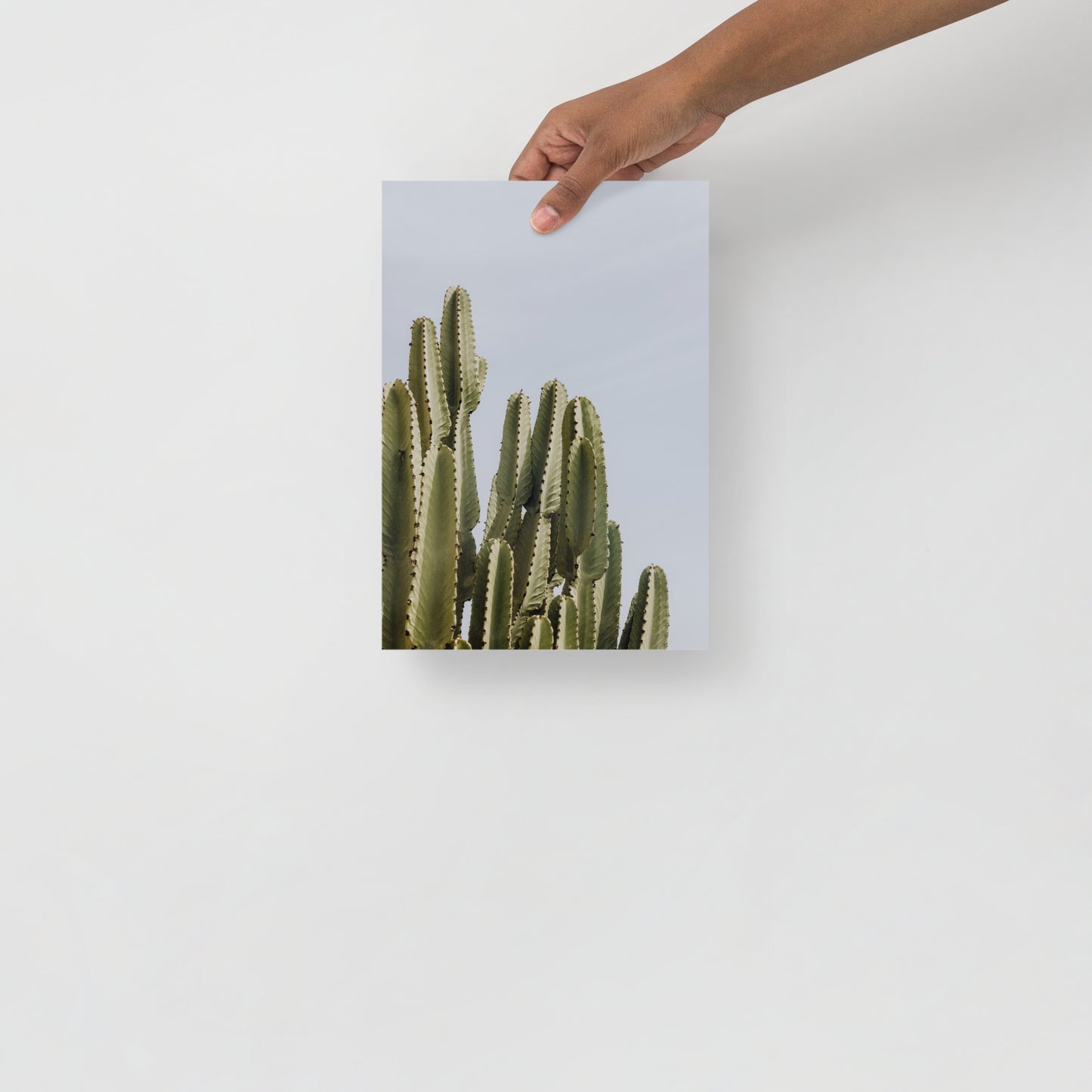 Kakteen Sommer Brise Wandbild IV