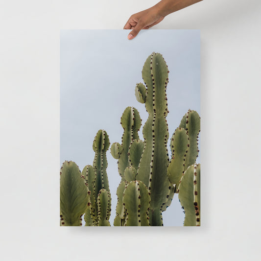 Kakteen Sommer Brise Wandbild III